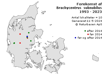 Brachycentrus subnubilus - udbredelseskort