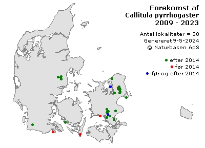 Callitula pyrrhogaster - udbredelseskort