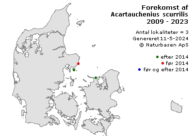 Acartauchenius scurrilis - udbredelseskort