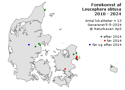 Leucophora obtusa - udbredelseskort