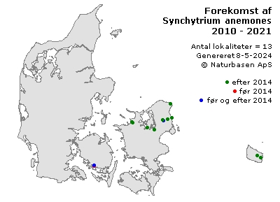 Synchytrium anemones - udbredelseskort