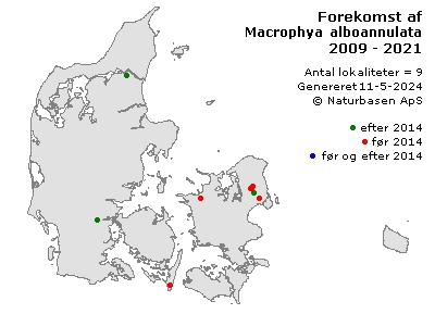 Macrophya alboannulata - udbredelseskort