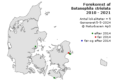 Botanophila striolata - udbredelseskort
