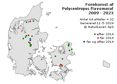 Polycentropus flavomaculatus - udbredelseskort