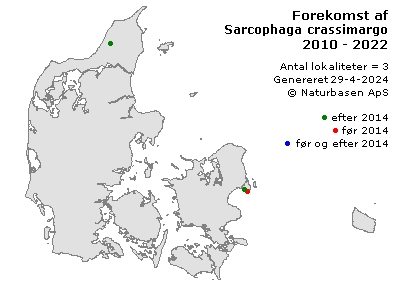 Sarcophaga crassimargo - udbredelseskort