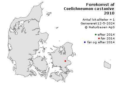 Coelichneumon castaniventris - udbredelseskort