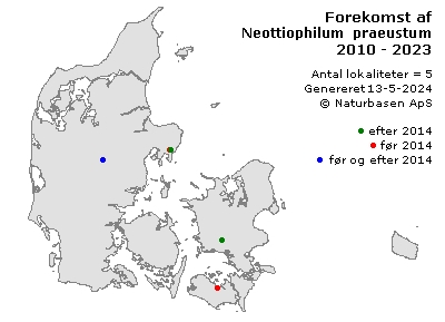 Neottiophilum praeustum - udbredelseskort