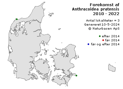Anthracoidea pratensis - udbredelseskort
