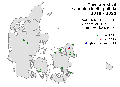 Kaltenbachiella pallida - udbredelseskort