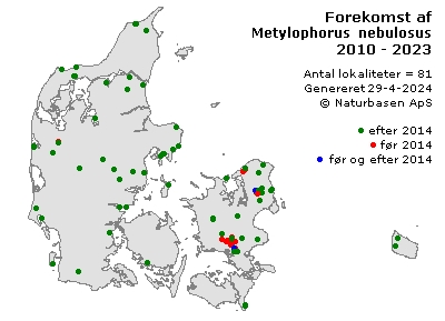 Metylophorus nebulosus - udbredelseskort