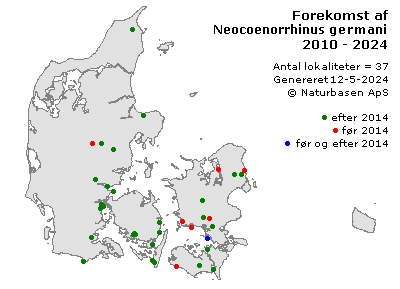 Neocoenorrhinus germanicus - udbredelseskort