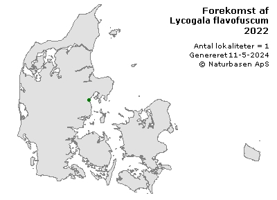 Lycogala flavofuscum - udbredelseskort