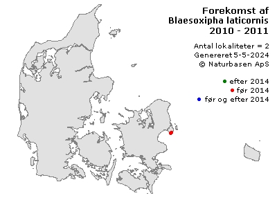 Blaesoxipha laticornis - udbredelseskort