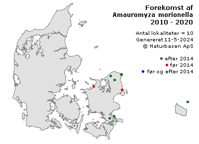 Amauromyza morionella - udbredelseskort