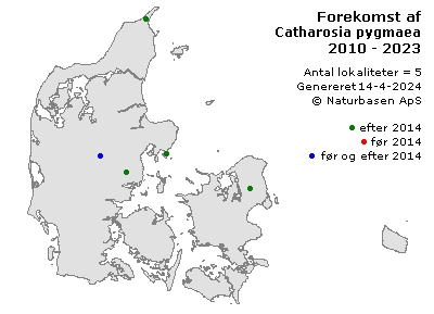 Catharosia pygmaea - udbredelseskort