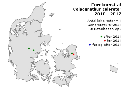 Colpognathus celerator - udbredelseskort