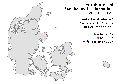 Exephanes ischioxanthus - udbredelseskort