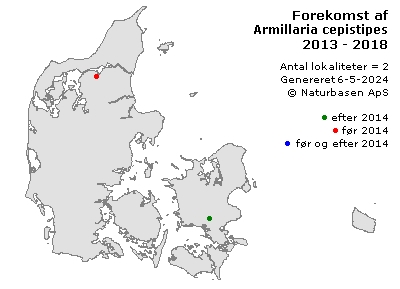 Armillaria cepistipes - udbredelseskort