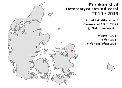 Heteromyza rotundicornis - udbredelseskort