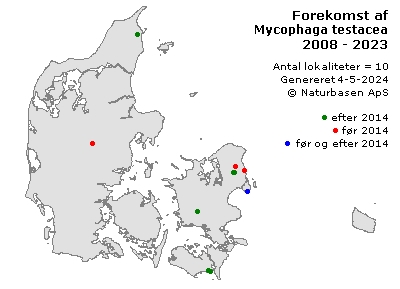 Mycophaga testacea - udbredelseskort