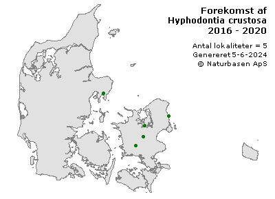 Hyphodontia crustosa - udbredelseskort