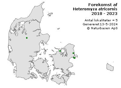 Heteromyza atricornis - udbredelseskort