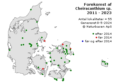 Cheiracanthium sp. - udbredelseskort