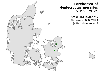 Hoplocryptus murarius - udbredelseskort