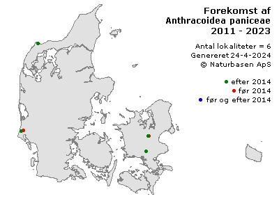 Anthracoidea paniceae - udbredelseskort