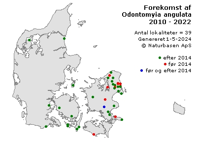 Odontomyia angulata - udbredelseskort