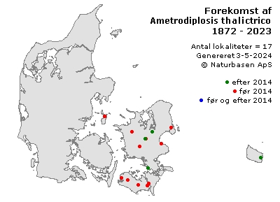 Ametrodiplosis thalictricola - udbredelseskort