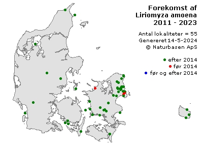 Liriomyza amoena - udbredelseskort