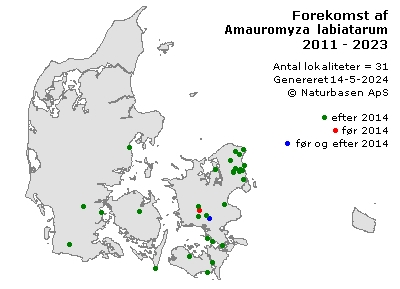 Amauromyza labiatarum - udbredelseskort