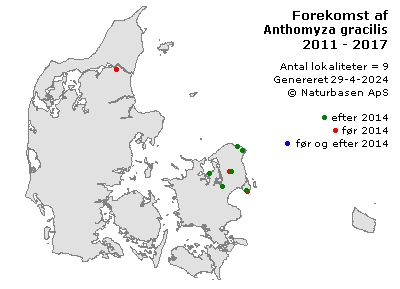 Anthomyza gracilis - udbredelseskort