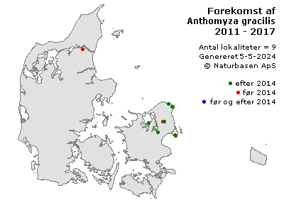 Anthomyza gracilis - udbredelseskort