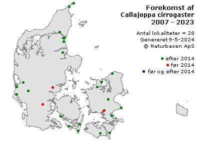 Callajoppa cirrogaster - udbredelseskort