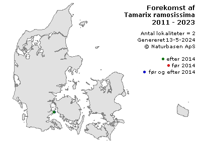 Tamarix ramosissima - udbredelseskort