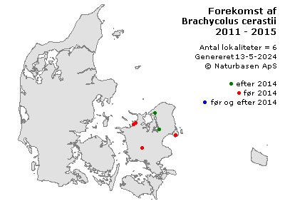 Brachycolus cerastii - udbredelseskort