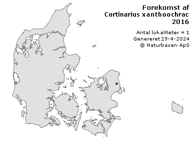 Cortinarius xanthoochraceus - udbredelseskort
