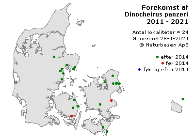 Dinocheirus panzeri - udbredelseskort
