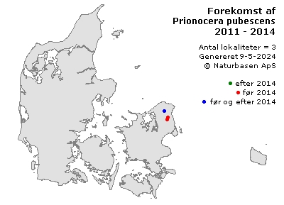 Prionocera pubescens - udbredelseskort