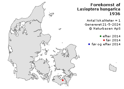 Lasioptera hungarica - udbredelseskort