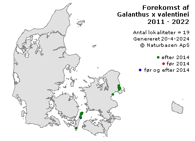Galanthus x valentinei - udbredelseskort