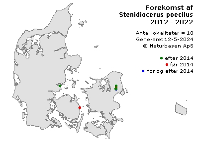 Stenidiocerus poecilus - udbredelseskort