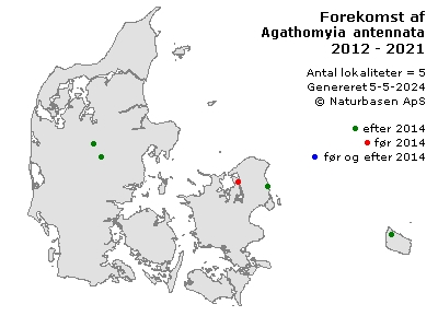 Agathomyia antennata - udbredelseskort