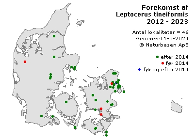 Leptocerus tineiformis - udbredelseskort