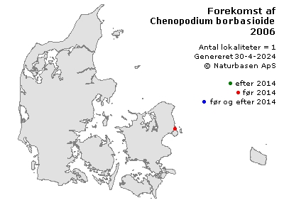 Chenopodium borbasioides - udbredelseskort