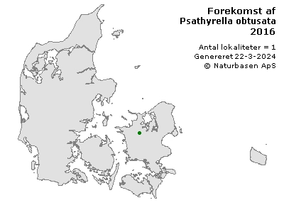 Psathyrella obtusata - udbredelseskort
