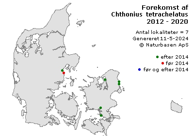 Chthonius tetrachelatus - udbredelseskort