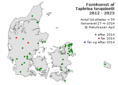 Taphrina tosquinetii - udbredelseskort